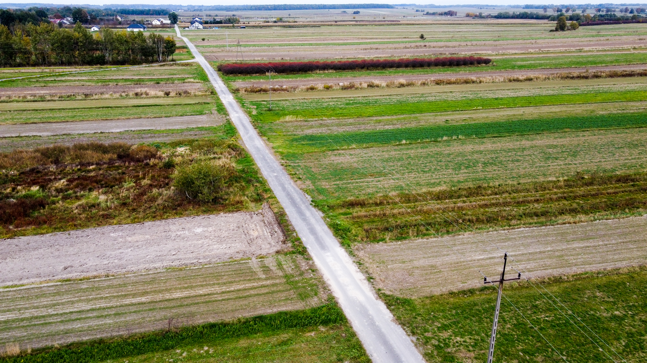 Polne pola o różnych odcieniach zieleni i brązu, wzdłuż których biegnie prosta, wąska droga, przy niej słup energetyczny, w tle niska linia drzew i kilka domów.