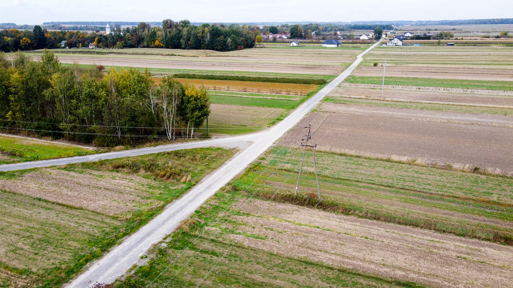 Rozległe pola uprawne podzielone na prostokątne działki, dwie skrzyżowane drogi gruntowe, zieleń drzew i krzewów, w tle domy i las, niebo z lekkimi chmurami.