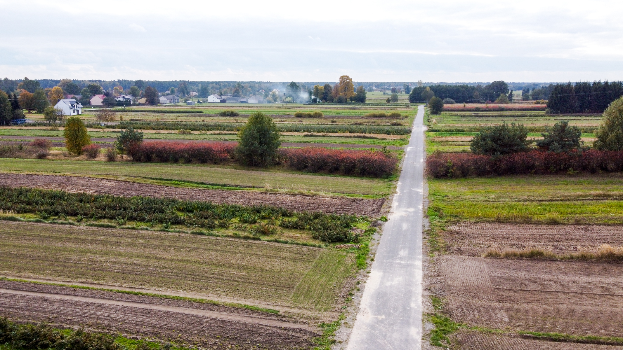 Wąska asfaltowa droga przebiegająca przez pola uprawne i krzewy z domami i drzewami w oddali pod pochmurnym niebem.