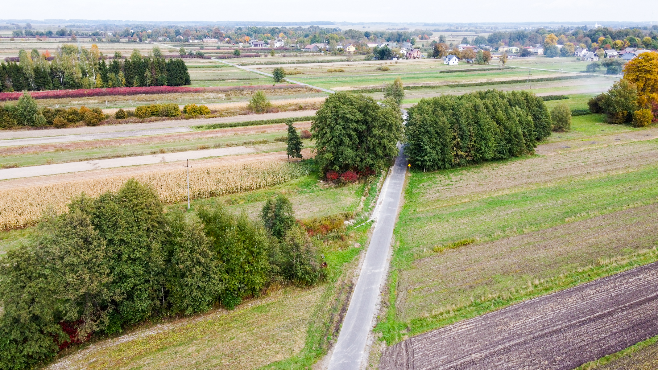 Widok z lotu ptaka na pola uprawne z różnymi odcieniami zieleni, żółci i brązu, drzewa w różnych grupach oraz wąska asfaltowa droga przecinająca krajobraz.