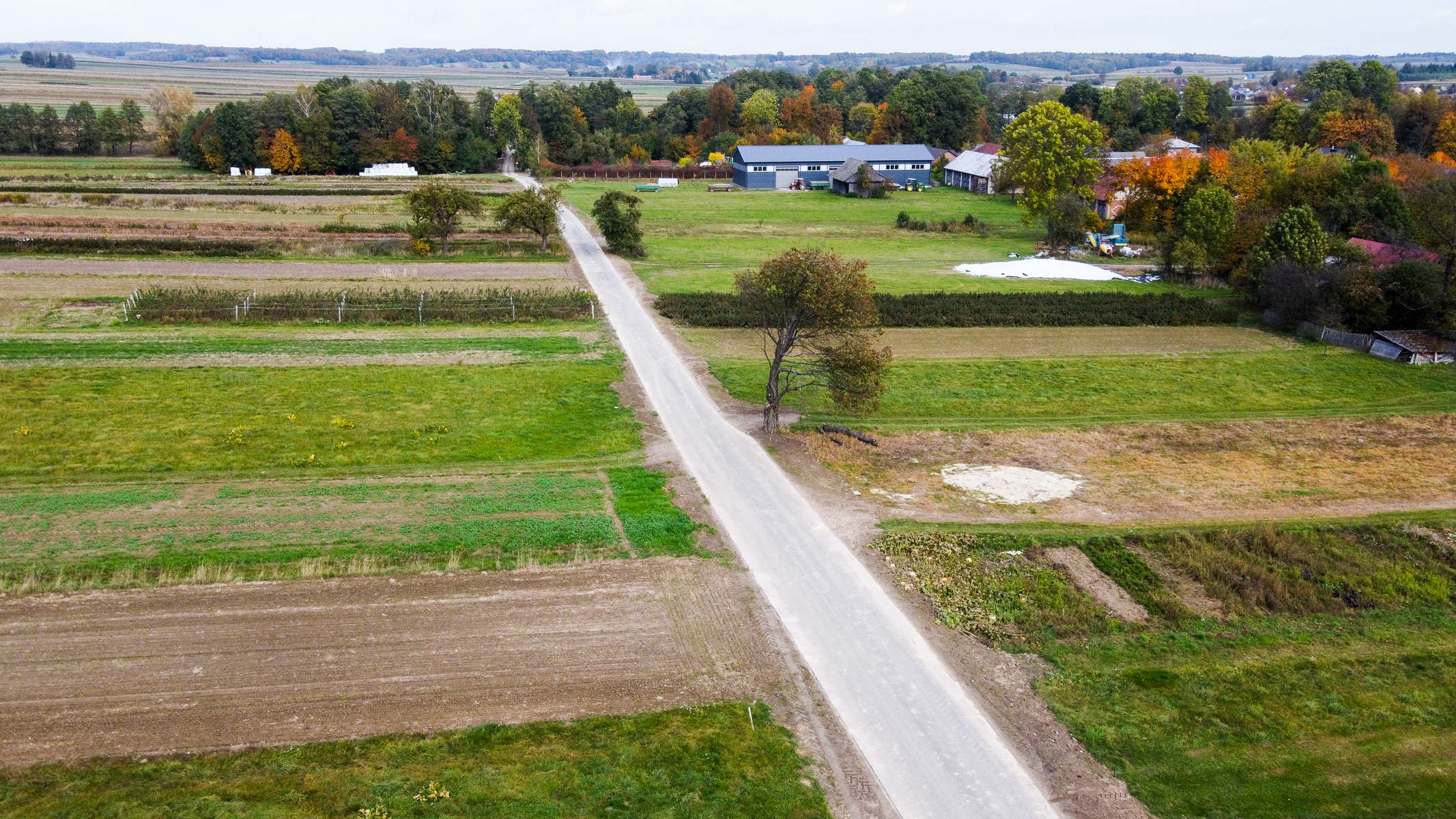 Wąska droga przez pola o różnych odcieniach zieleni i brązu, po bokach pojedyncze drzewa, w tle budynki i las z drzewami o jesiennych barwach.