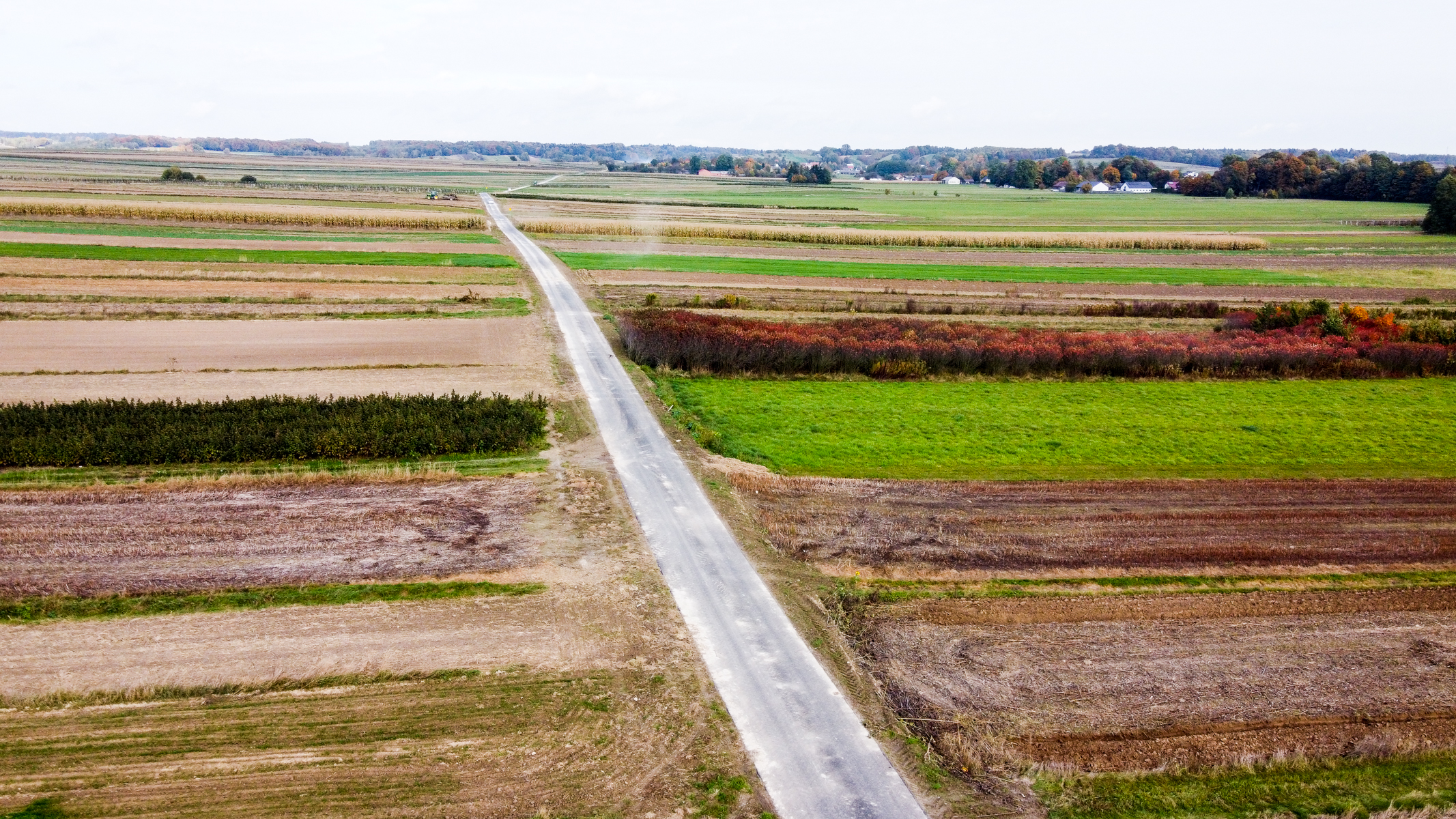 Wąska szara droga biegnąca przez pola o różnych odcieniach zieleni, brązu i żółci, z krzewami o czerwonych liściach oraz lasem w tle pod jasnym niebem.