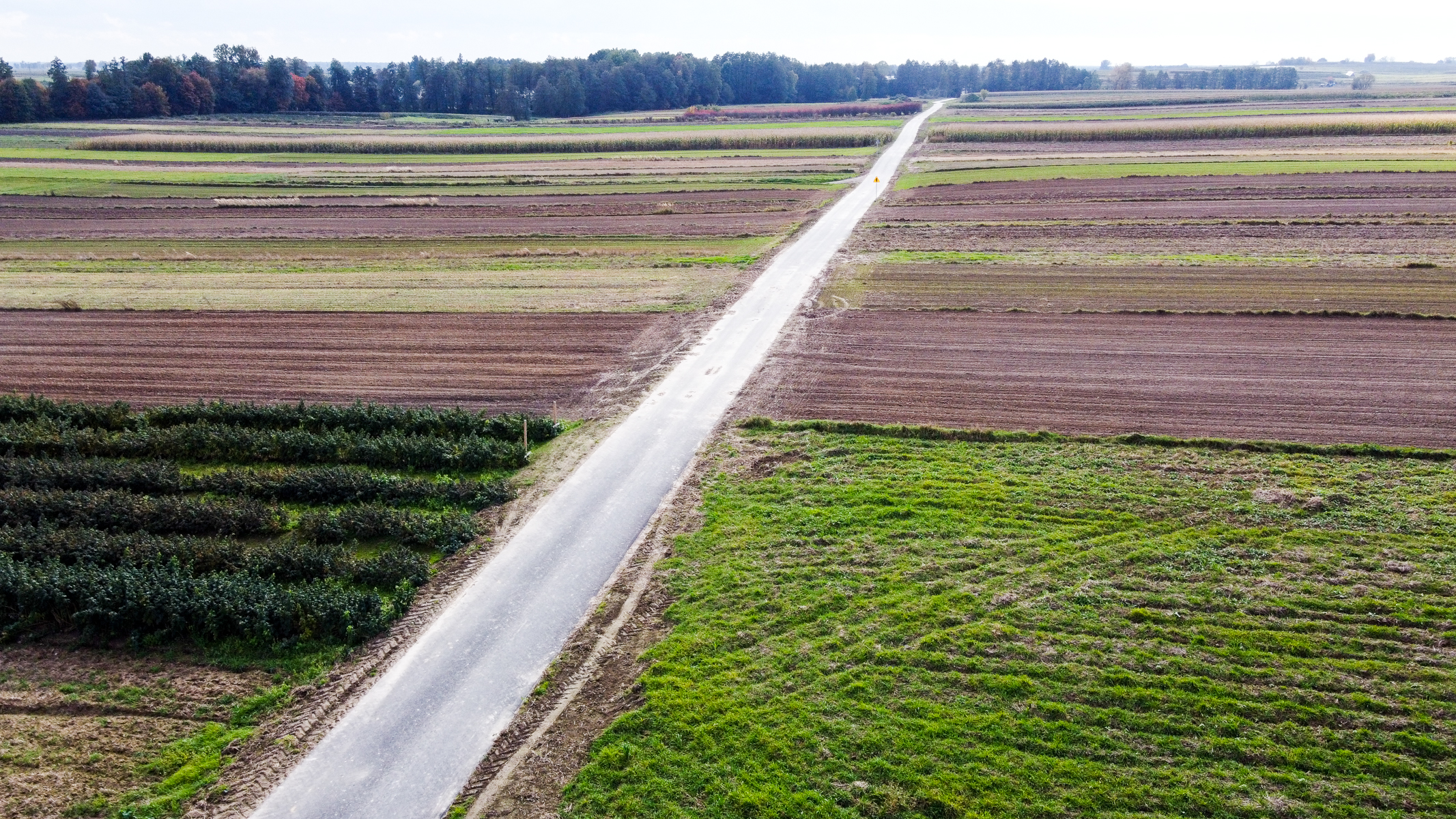 Asfaltowa droga przecinająca pola uprawne o różnym kolorze i teksturze, w tle linia drzew pod jasnym, pochmurnym niebem.