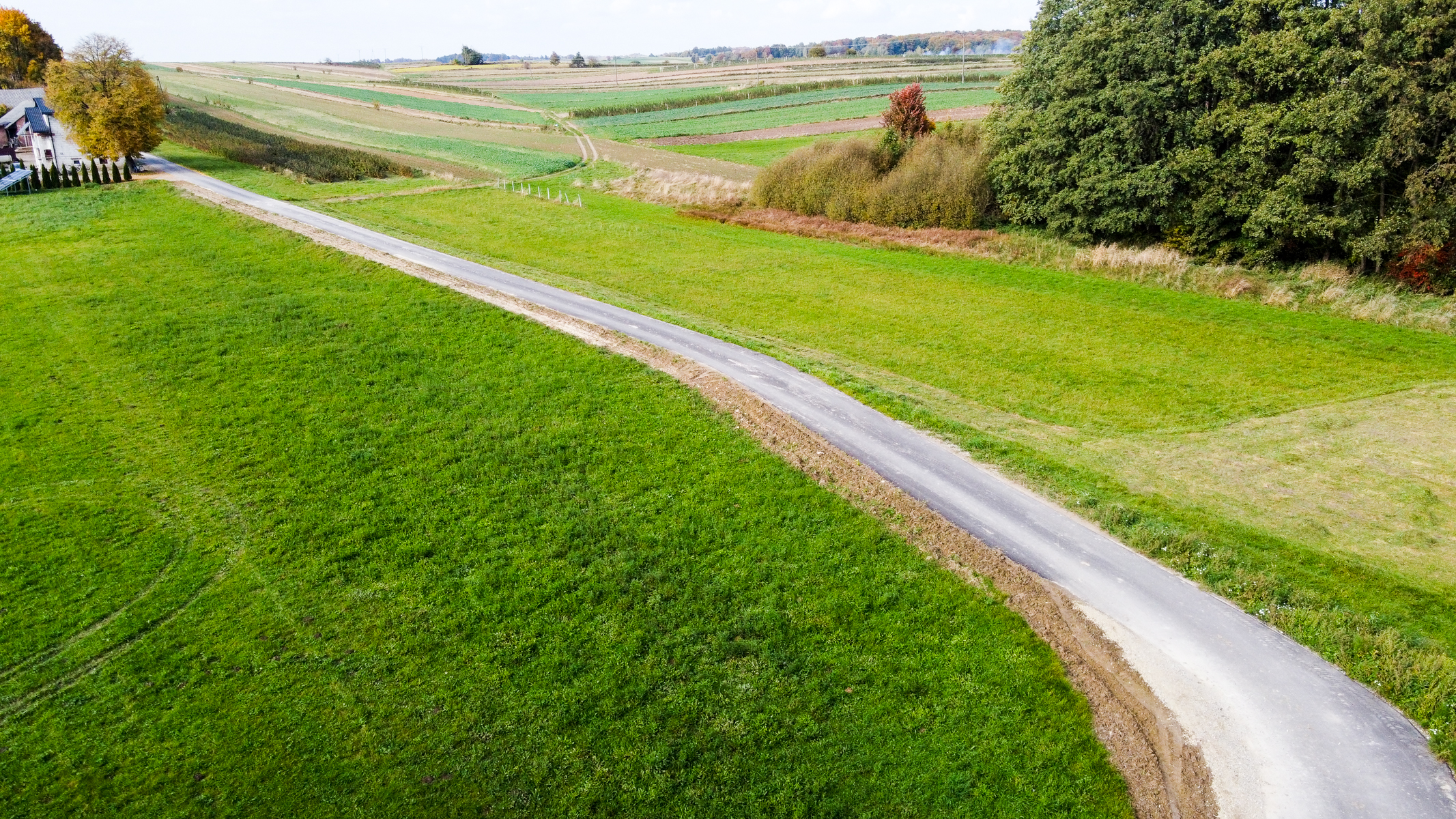 Wąska asfaltowa droga przecinająca zielone łąki, z drzewami i krzewami po prawej stronie oraz budynkami i drzewem o żółtych liściach po lewej.