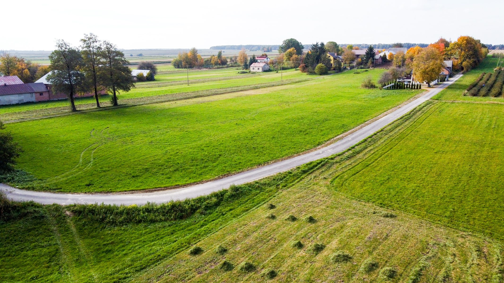 Wiejska droga przecinająca zielone pola, po bokach pojedyncze drzewa i domy z pomarańczowo-żółtymi drzewami w tle.
