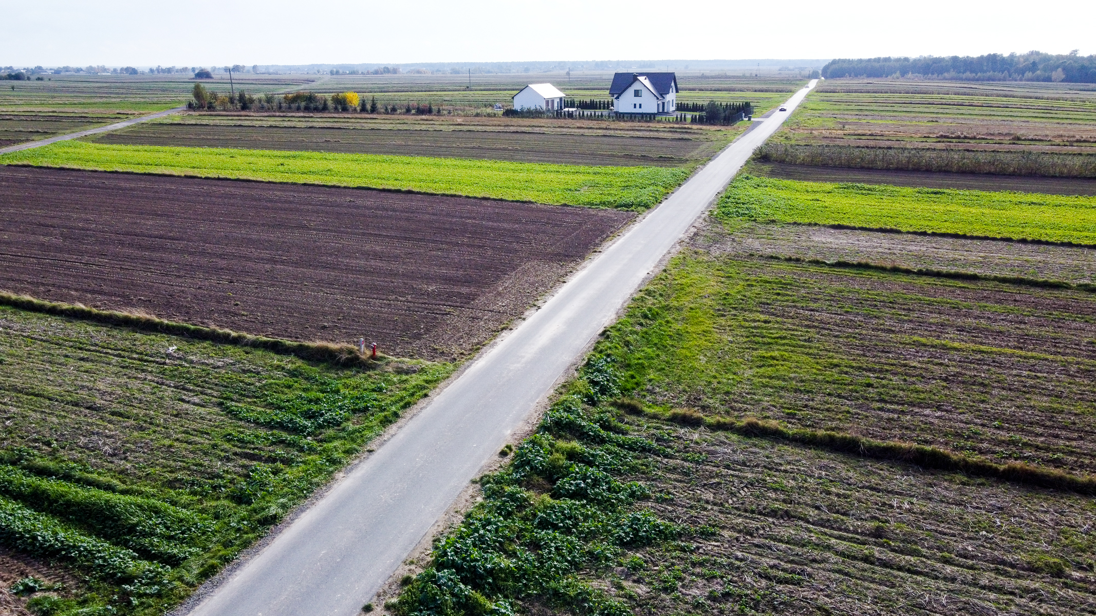 Wąska asfaltowa droga przecinająca pola uprawne o różnych odcieniach zieleni i brązu, z dwoma białymi domami na horyzoncie.