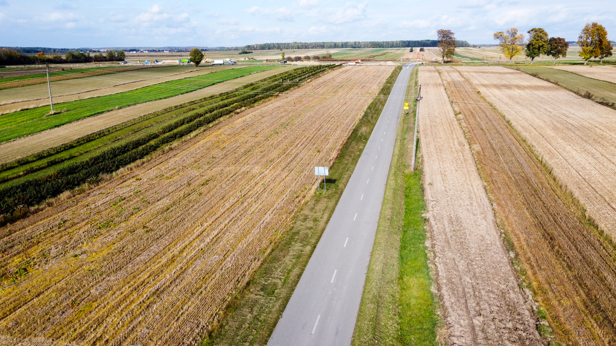 Wąska asfaltowa droga biegnąca przez pola uprawne o różnych odcieniach zieleni i brązu, z kilkoma drzewami z żółtymi i zielonymi liśćmi na horyzoncie.