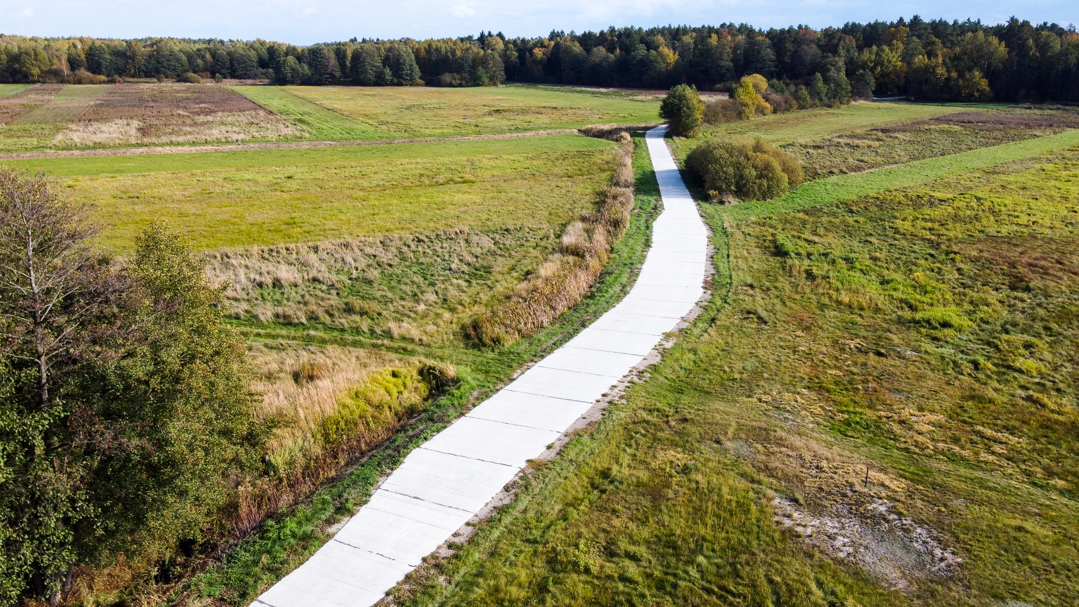 Wąska, biała ścieżka betonowa biegnąca przez zielone łąki z niską roślinnością i pojedynczymi drzewami, w tle las o mieszanej kolorystyce liści.
