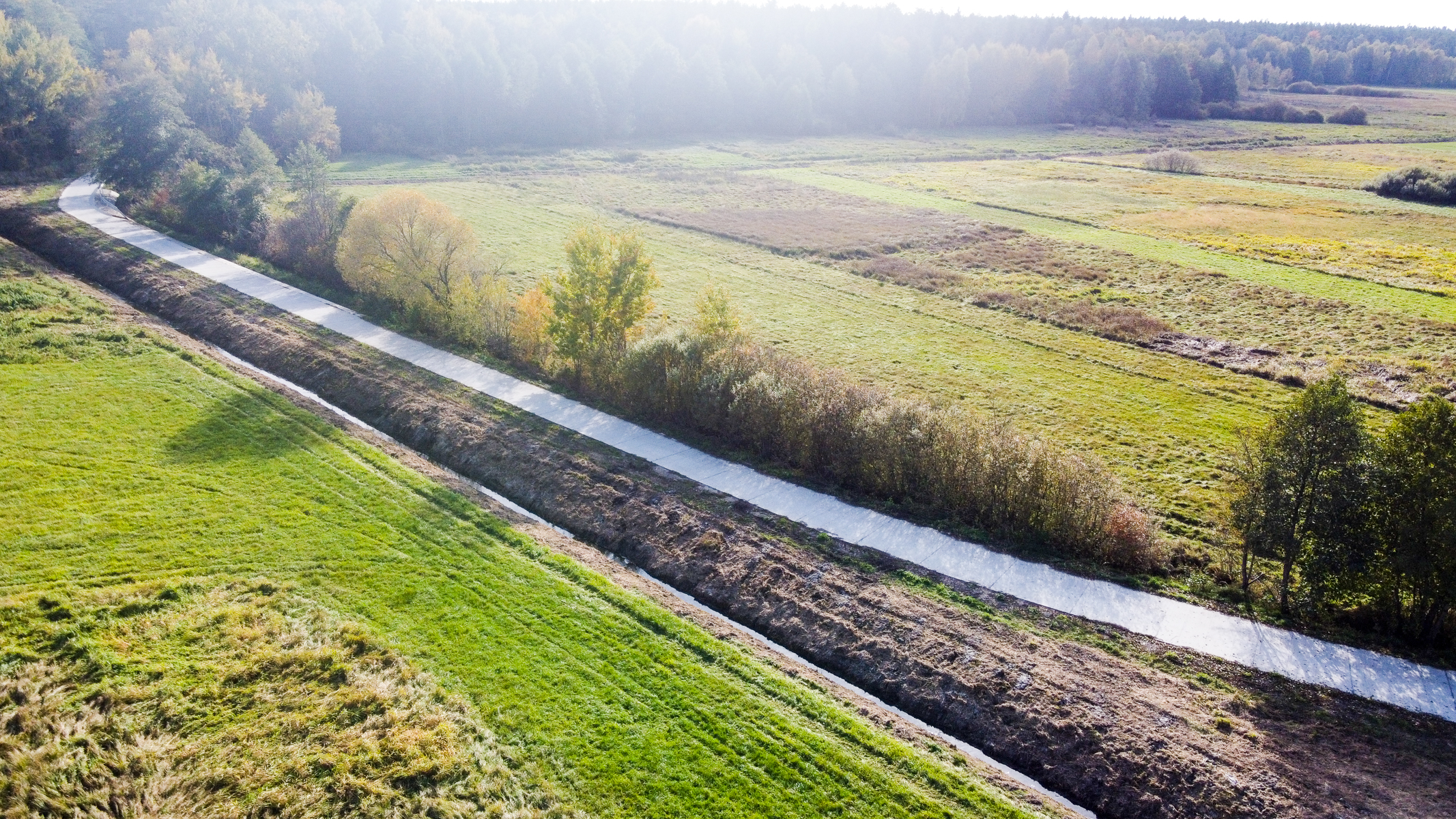 Ścieżka betonowa wśród zielonych łąk i drzew, na horyzoncie las, jasne niebo z rozproszonym światłem słonecznym.