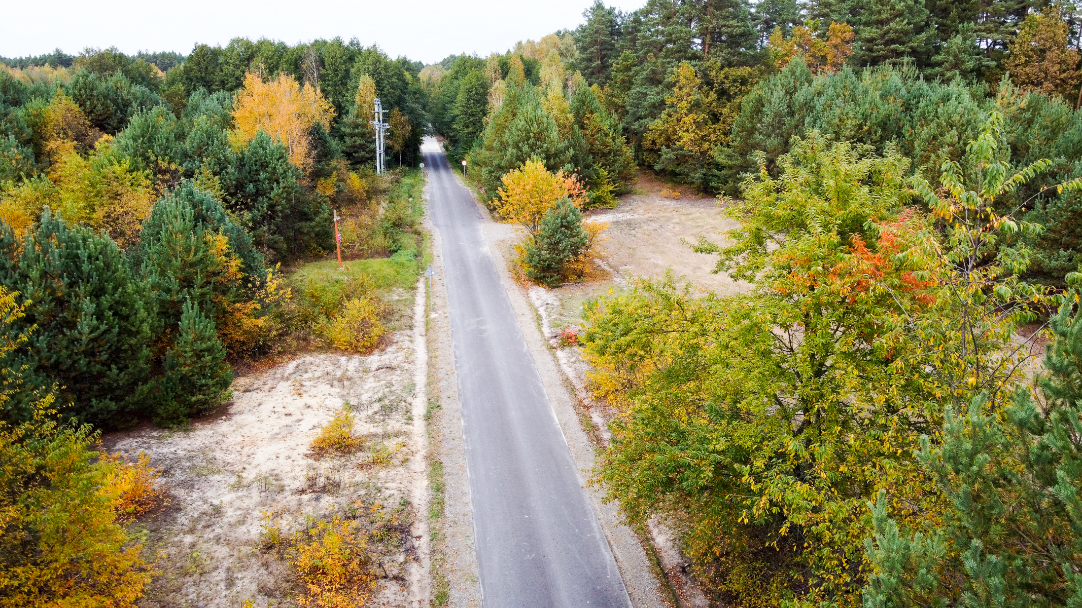 Wąska asfaltowa droga w lesie z zielonymi i żółtymi drzewami, fragmenty suchych, piaszczystych powierzchni po obu stronach drogi.