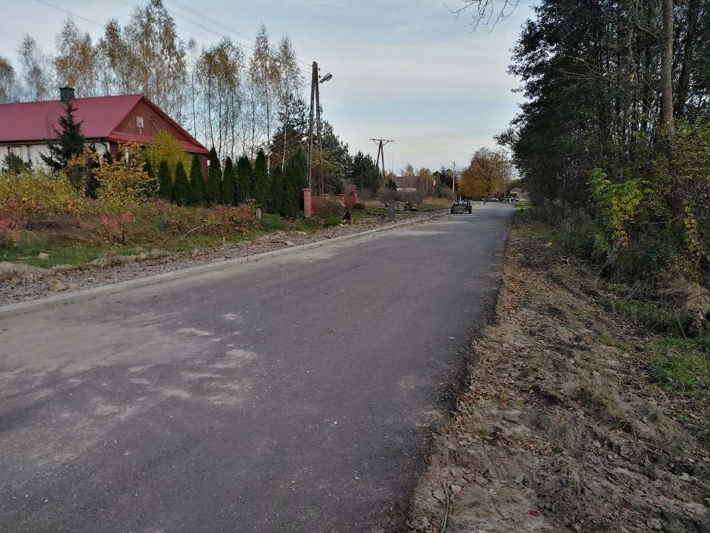 Asfaltowa droga z poboczami z ziemi, po lewej stronie dom z czerwonym dachem i zielonymi drzewami, po prawej gęste drzewa i krzewy, w tle słupy energetyczne.