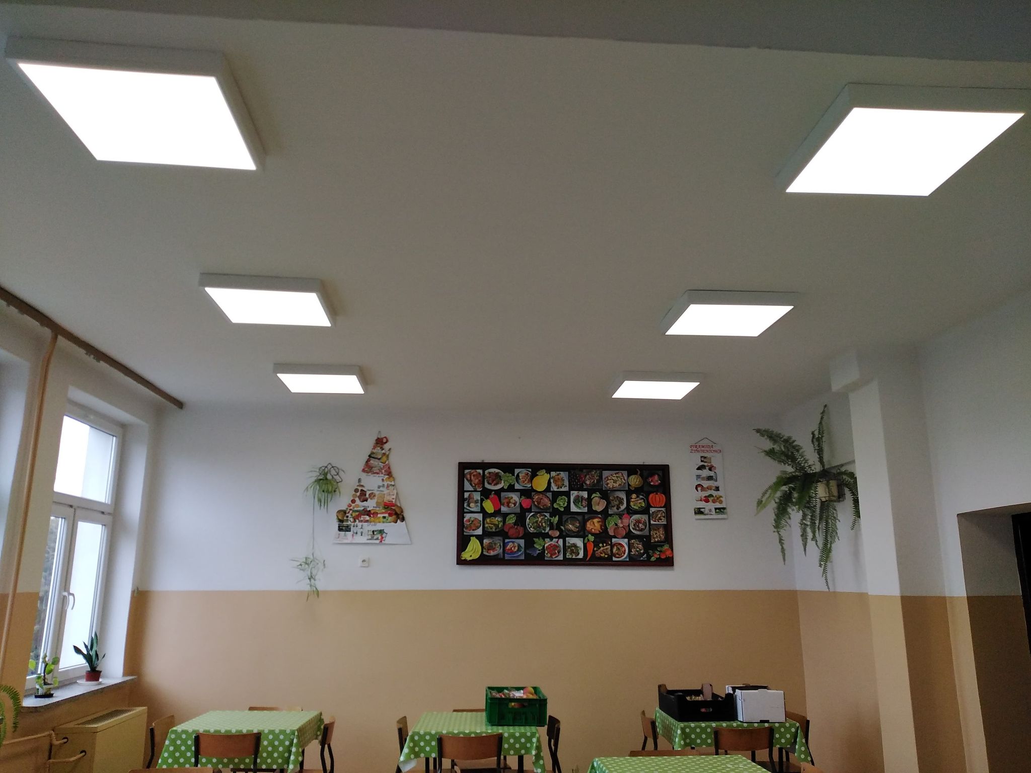 Sufit z sześcioma kwadratowymi, białymi panelami świetlnymi, poniżej ściana z zielonymi obrusami na stołach, wiszące rośliny i tablice z kolorowymi obrazkami jedzenia.