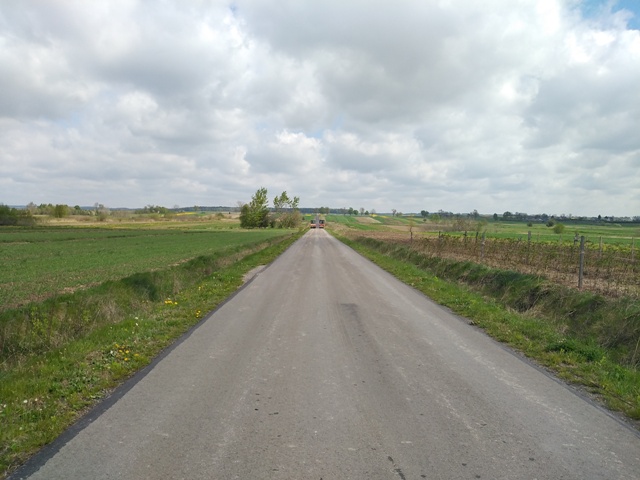 Droga asfaltowa na tle zielonych pól pod pochmurnym niebem z pojedynczymi drzewami i płotem po prawej stronie.