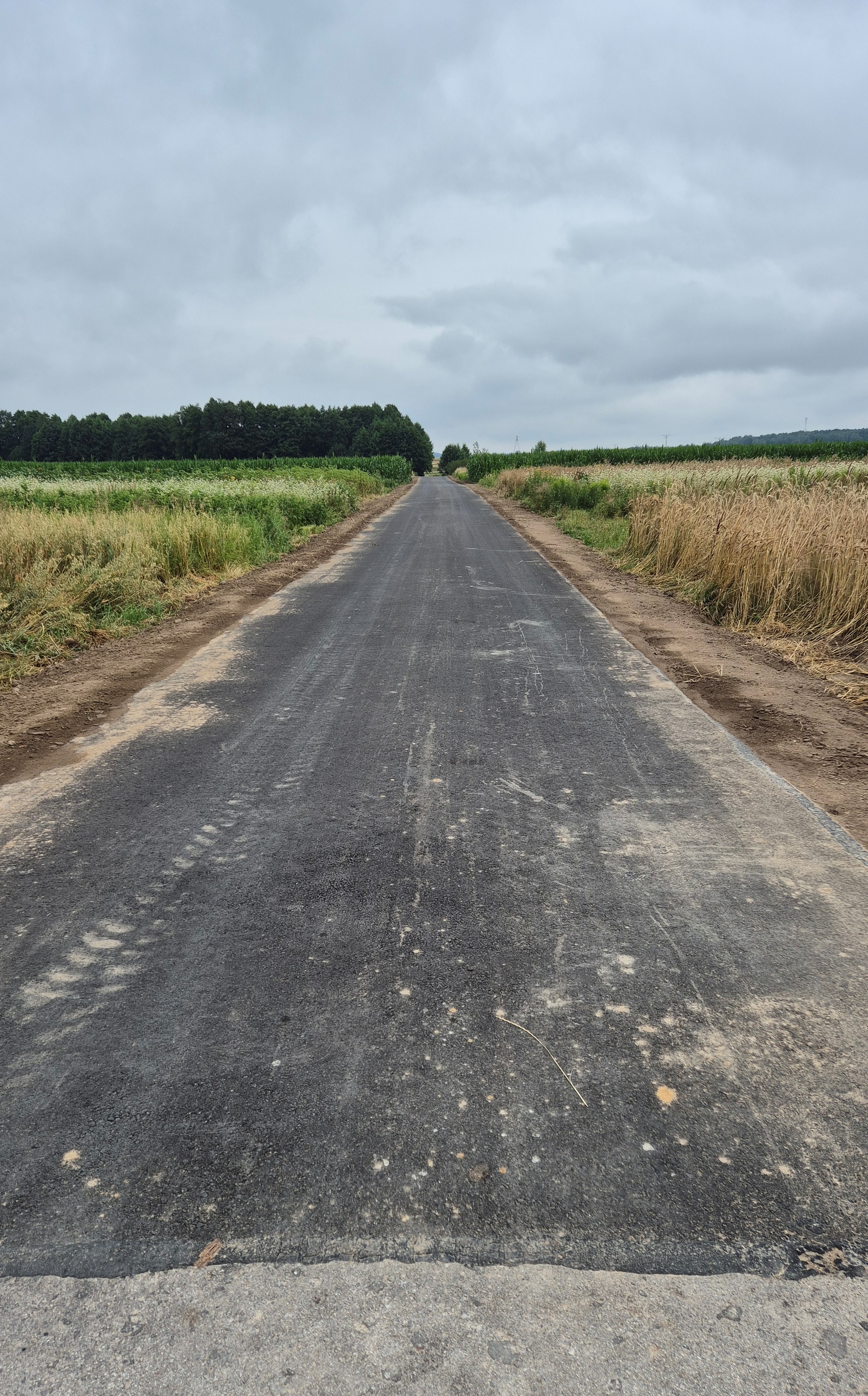 Wąska asfaltowa droga biegnąca przez pola z zielonymi i żółtymi roślinami, w tle rzędy drzew pod pochmurnym niebem.