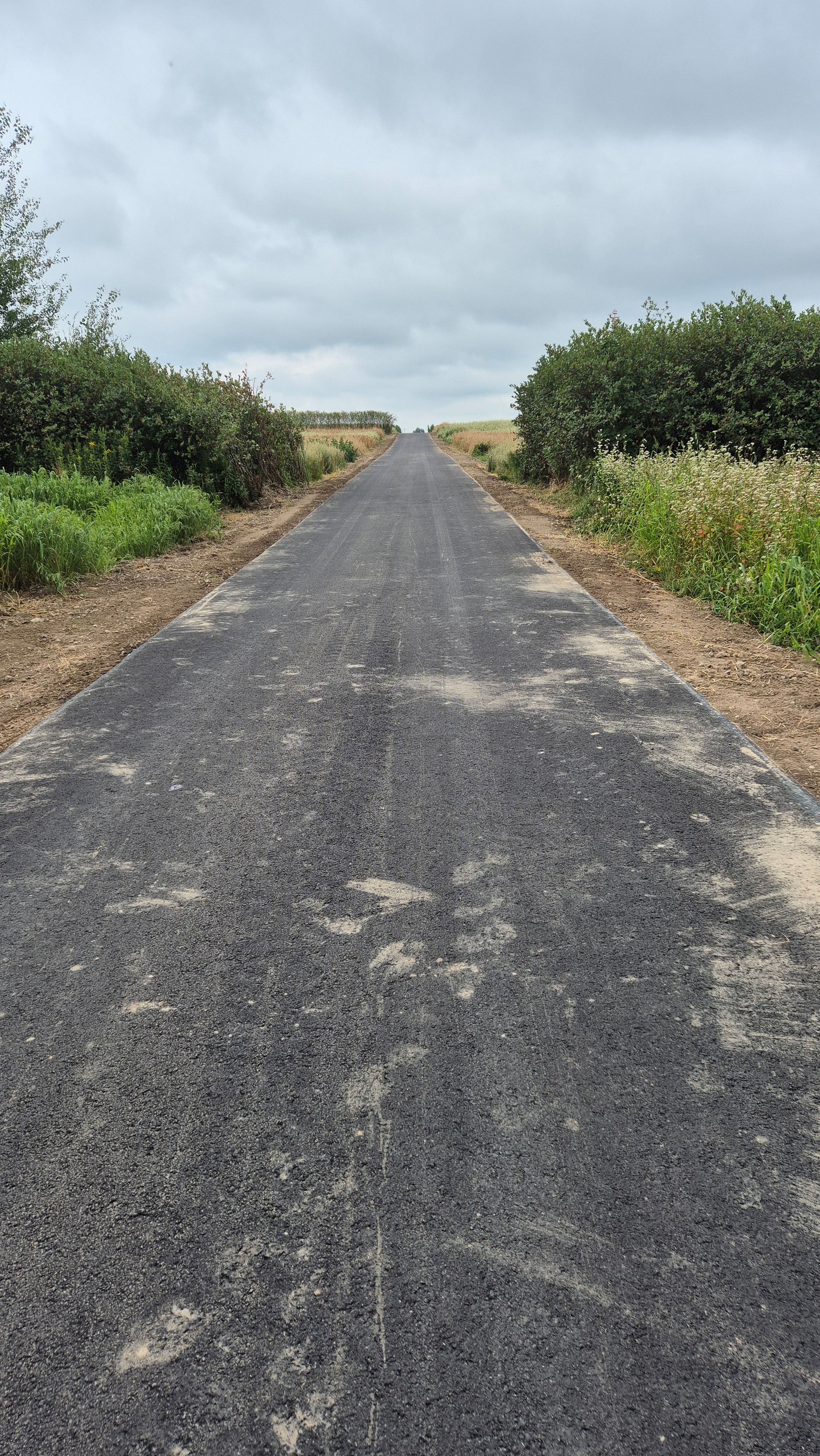 Asfaltowa droga z lekko zabrudzonym czarnym podłożem, po bokach zielone krzewy i trawy, w tle pola i pochmurne niebo.