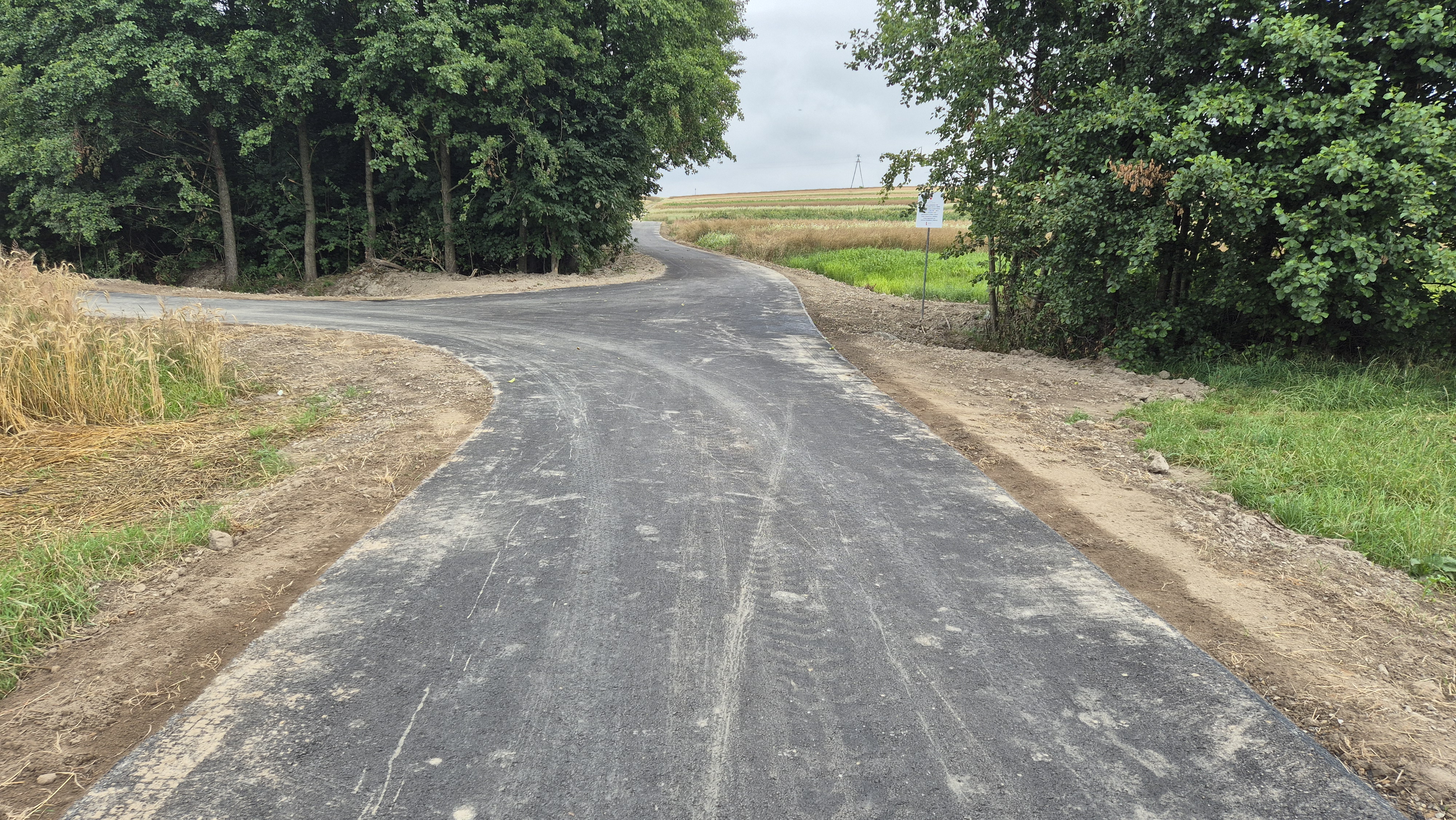 Rozwidlenie asfaltowej drogi z widocznymi śladami opon, po bokach ziemia, trawa, zboże oraz gęste zielone drzewa pod pochmurnym niebem.