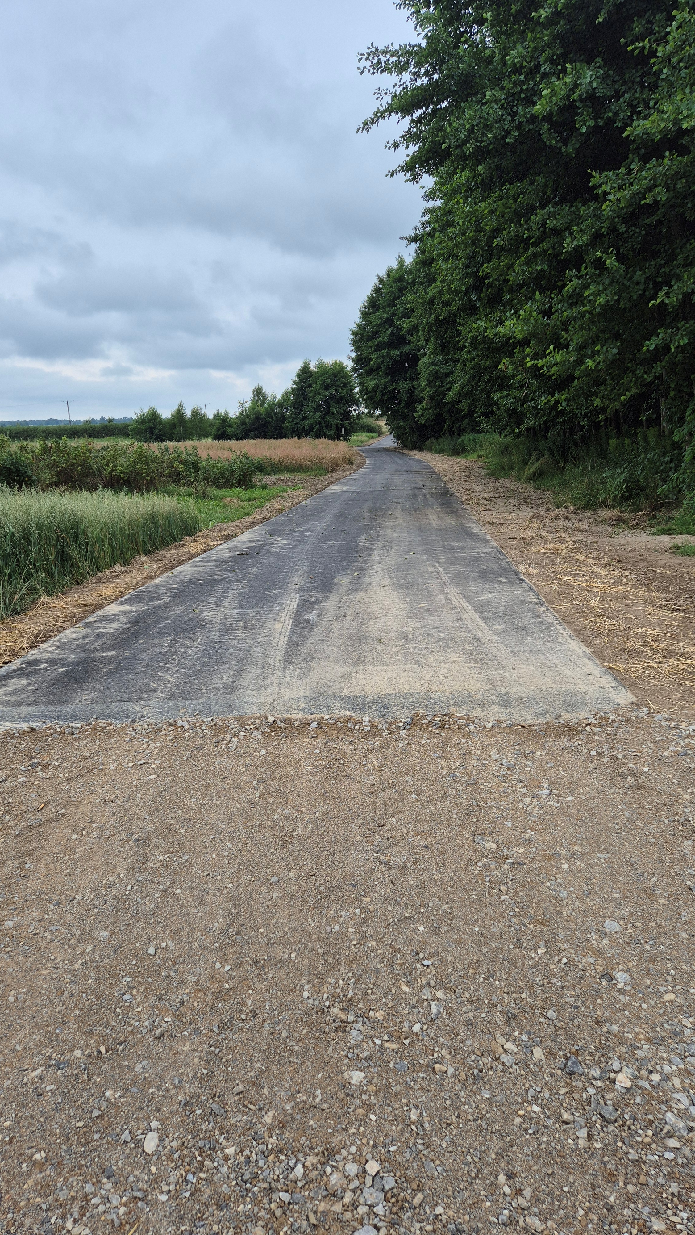 Droga asfaltowa z nieutwardzonym poboczem, po prawej gęste zielone drzewa, po lewej niskie krzewy i pola, niebo zachmurzone.