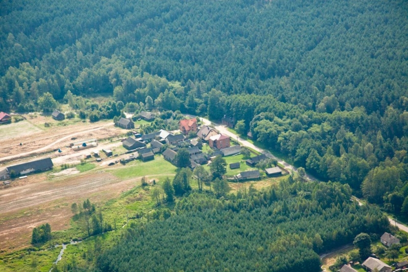 Zielony las otaczający małą wiejską osadę z kilkoma domami, polami i łąkami, widok z lotu ptaka.
