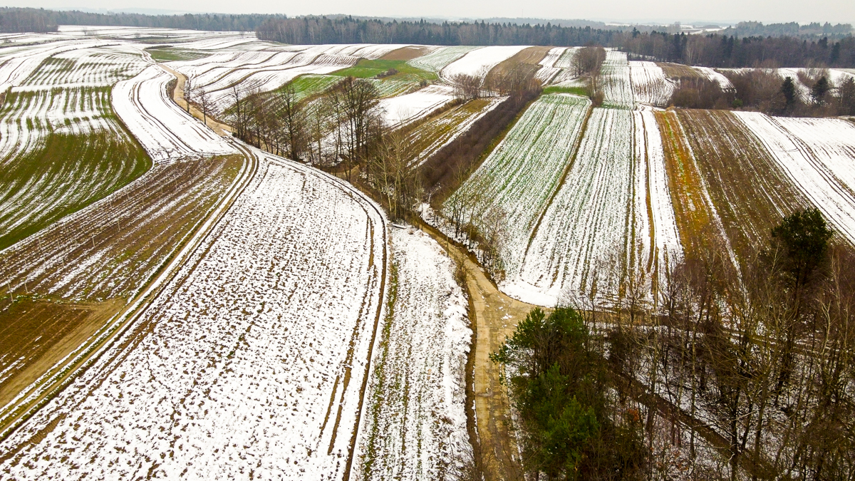 Widok z lotu ptaka na pola uprawne częściowo pokryte śniegiem, wąska droga gruntowa przecinająca pola, pojedyncze drzewa i las w tle.