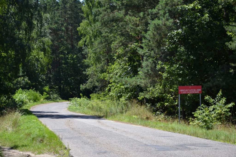 Wąska asfaltowa droga z zakrętem w lesie, po prawej stronie czerwony znak na tle zielonych drzew i krzewów.