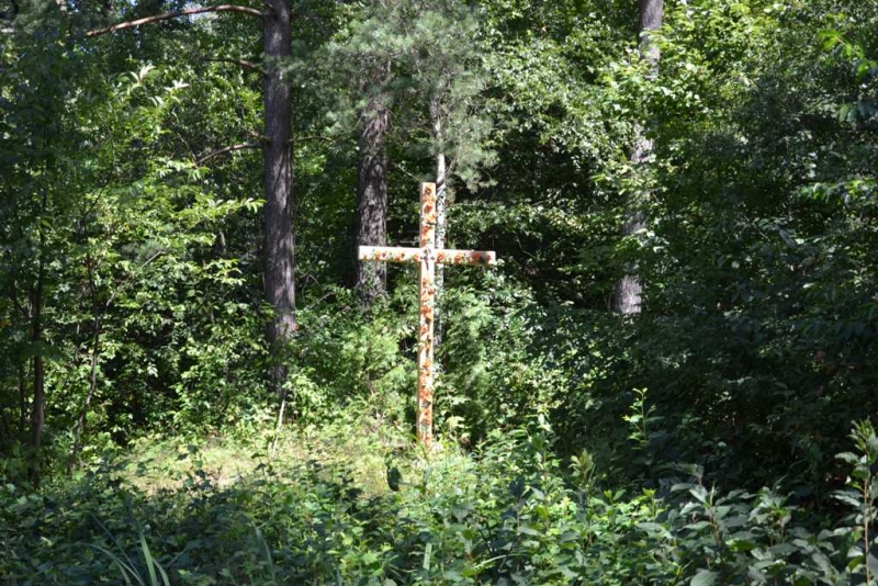 Drewniany krzyż z nalepkami lub plamami, stojący w gęstym zielonym lesie z wysokimi drzewami i bujną roślinnością na pierwszym planie.