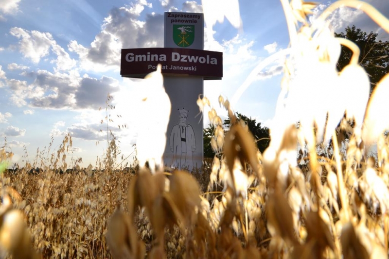 Tablica z napisem "Gmina Dzwola Powiat Janowski" na tle nieba i chmur, w pierwszym planie złote kłosy zbóż i zarys postaci na tablicy.