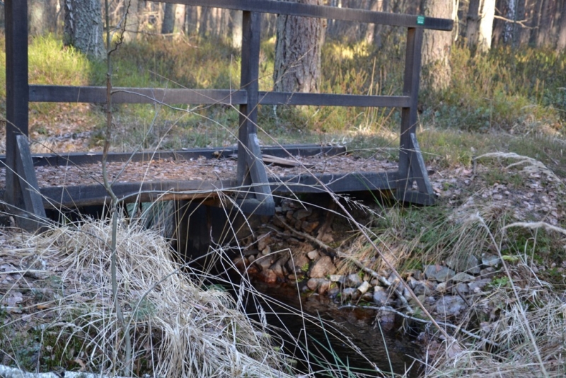 Mostek z czarnego drewna nad wąskim strumieniem, wokół trawy i drzewa w lesie.