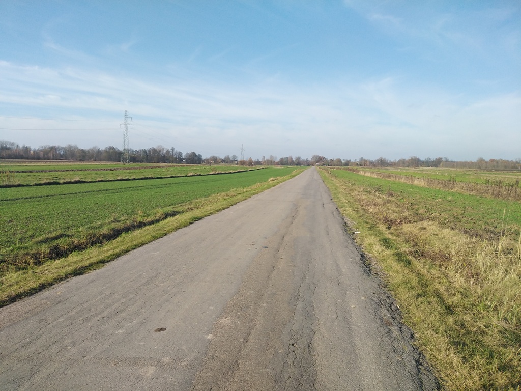 Wąska, asfaltowa droga między zielonymi polami pod jasnym, lekko pochmurnym niebem. W tle drzewa i linie energetyczne.