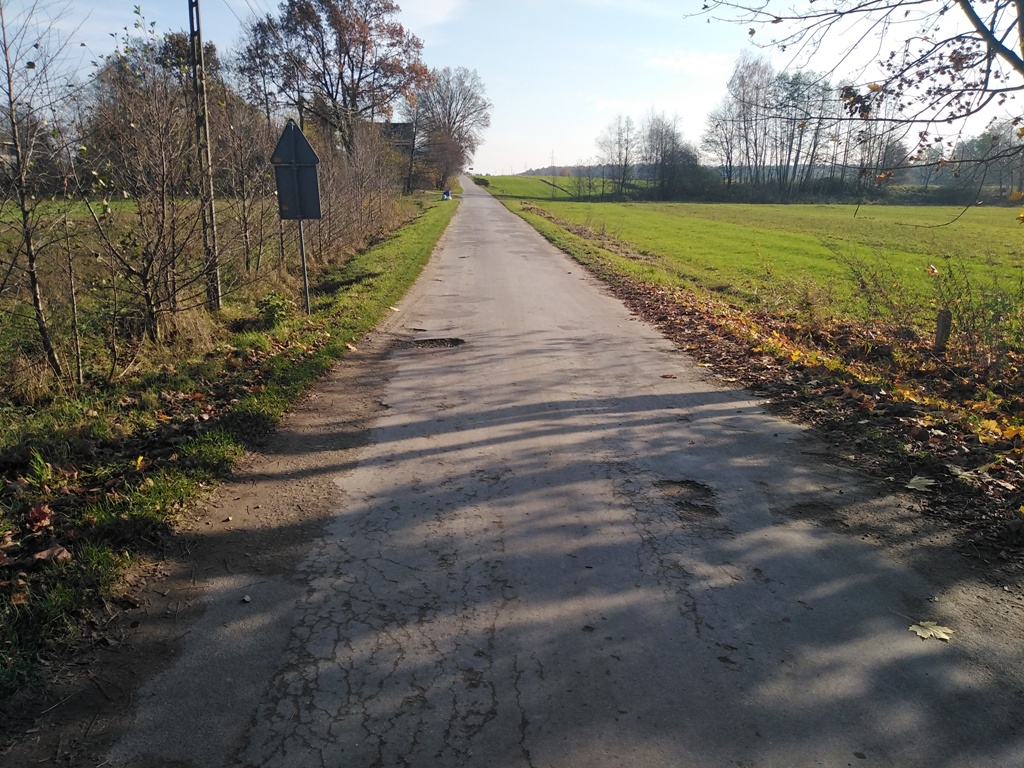 Wąska, asfaltowa droga z pęknięciami i dziurami, po bokach trawa, liście i rozłożyste drzewa z cieniem na jezdni, niebieskie niebo.