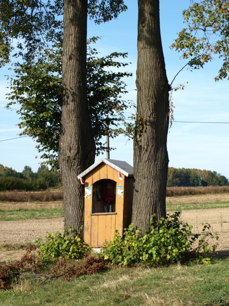 Drewniana kapliczka z kwiatami między dwoma dużymi drzewami na tle pola, niebieskie niebo, zieleń i krzewy u podstawy drzew.