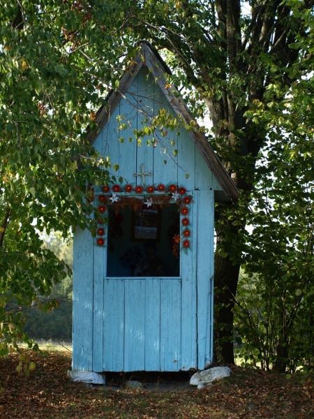 Niebieska, drewniana kapliczka z daszkiem, ozdobiona czerwoną girlandą, otoczona zielonymi drzewami.