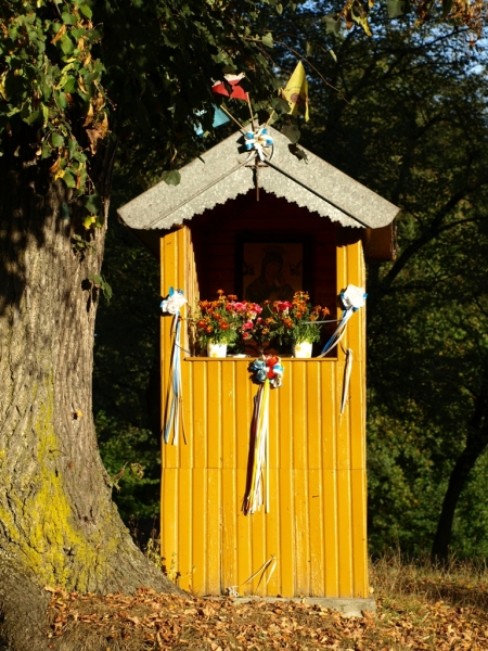 Żółta kapliczka z dachem, udekorowana kwiatami i wstążkami, obok duże drzewo, w tle ciemne zadrzewienie.