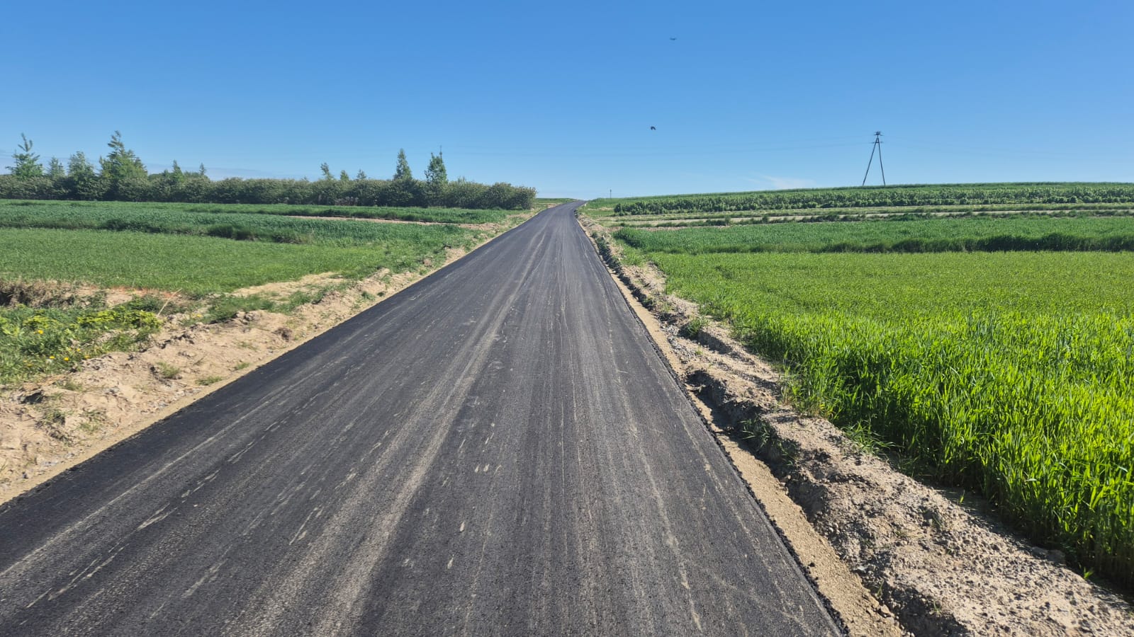 Wąska, świeżo asfaltowa droga przez pola z zieloną roślinnością po obu stronach, pod jasnym niebieskim niebem.