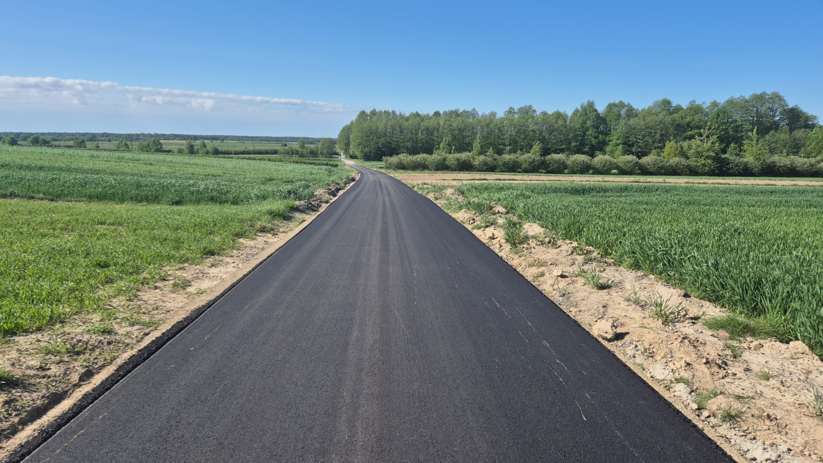 Czarna asfaltowa droga przecinająca zielone pola i łąki, w tle drzewa pod błękitnym niebem z nielicznymi chmurami.