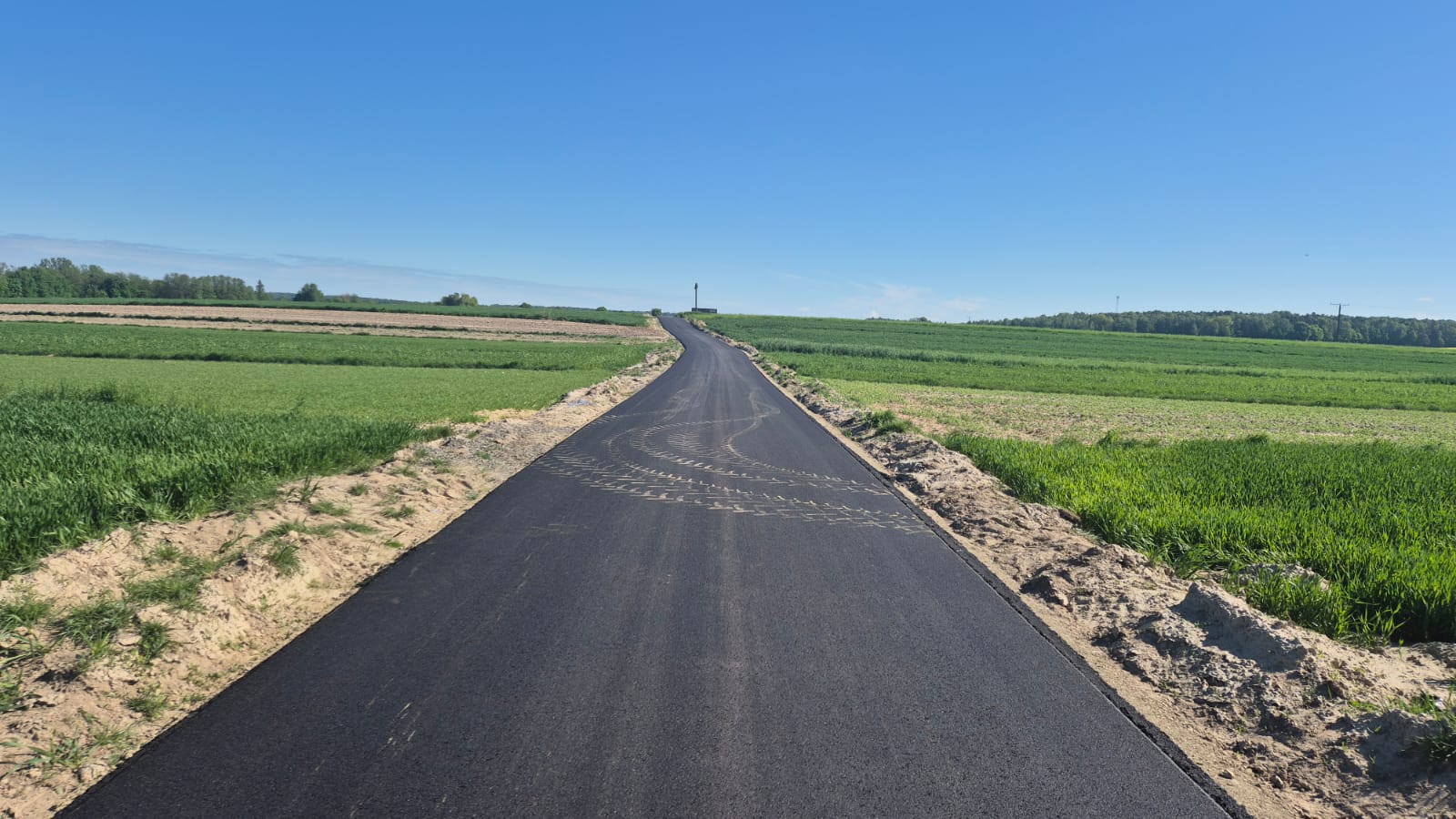 Wąska, świeżo asfaltowa droga przecinająca pola z zielonymi uprawami pod jasnym, bezchmurnym niebem.