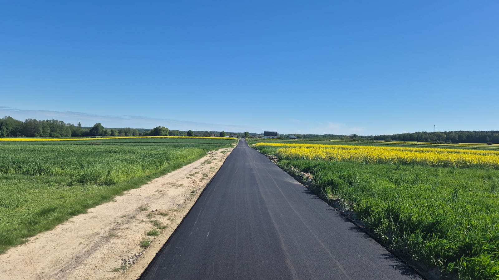 Prosta, świeżo asfaltowa czarna droga pośrodku zielonych i żółtych pól pod jasnoniebieskim niebem.