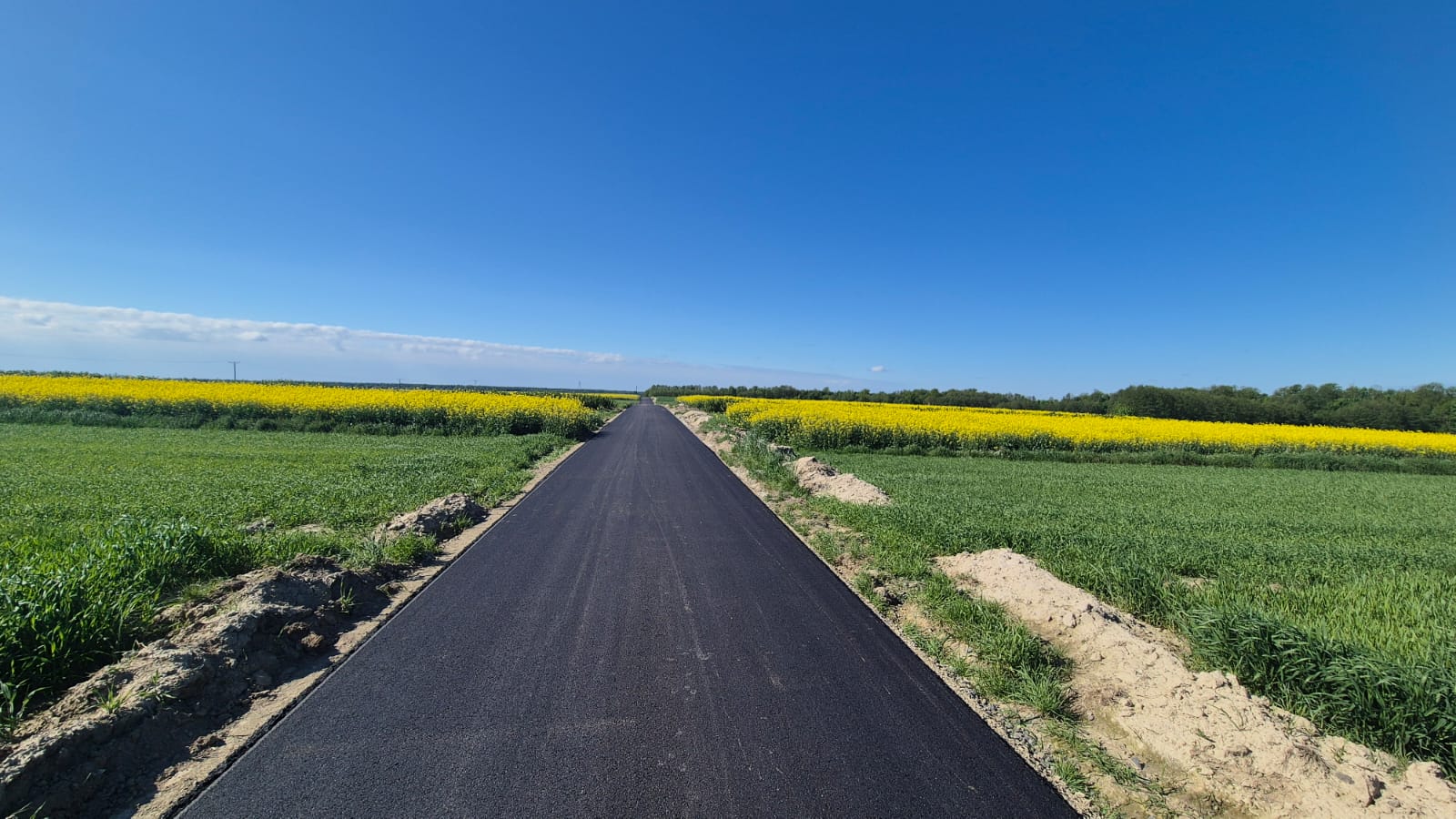 Asfaltowa droga wśród zielonych i żółtych pól pod jasnym niebieskim niebem.
