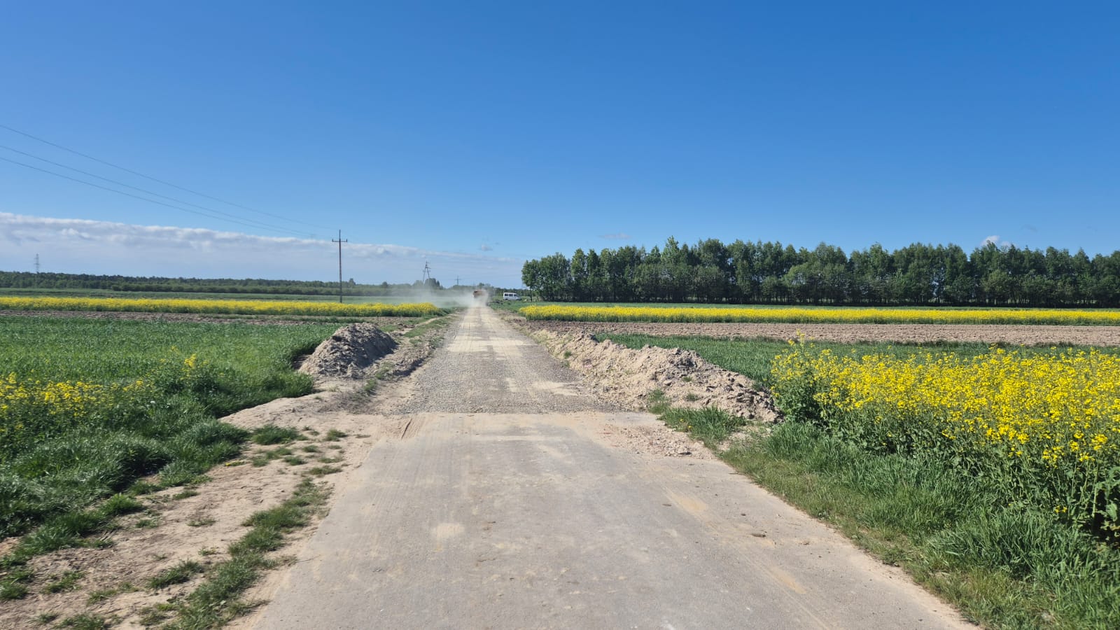 Droga polna z ziemnymi nasypami po obu stronach, żółte kwiaty i zielone pola, linia drzew na horyzoncie pod niebieskim niebem.