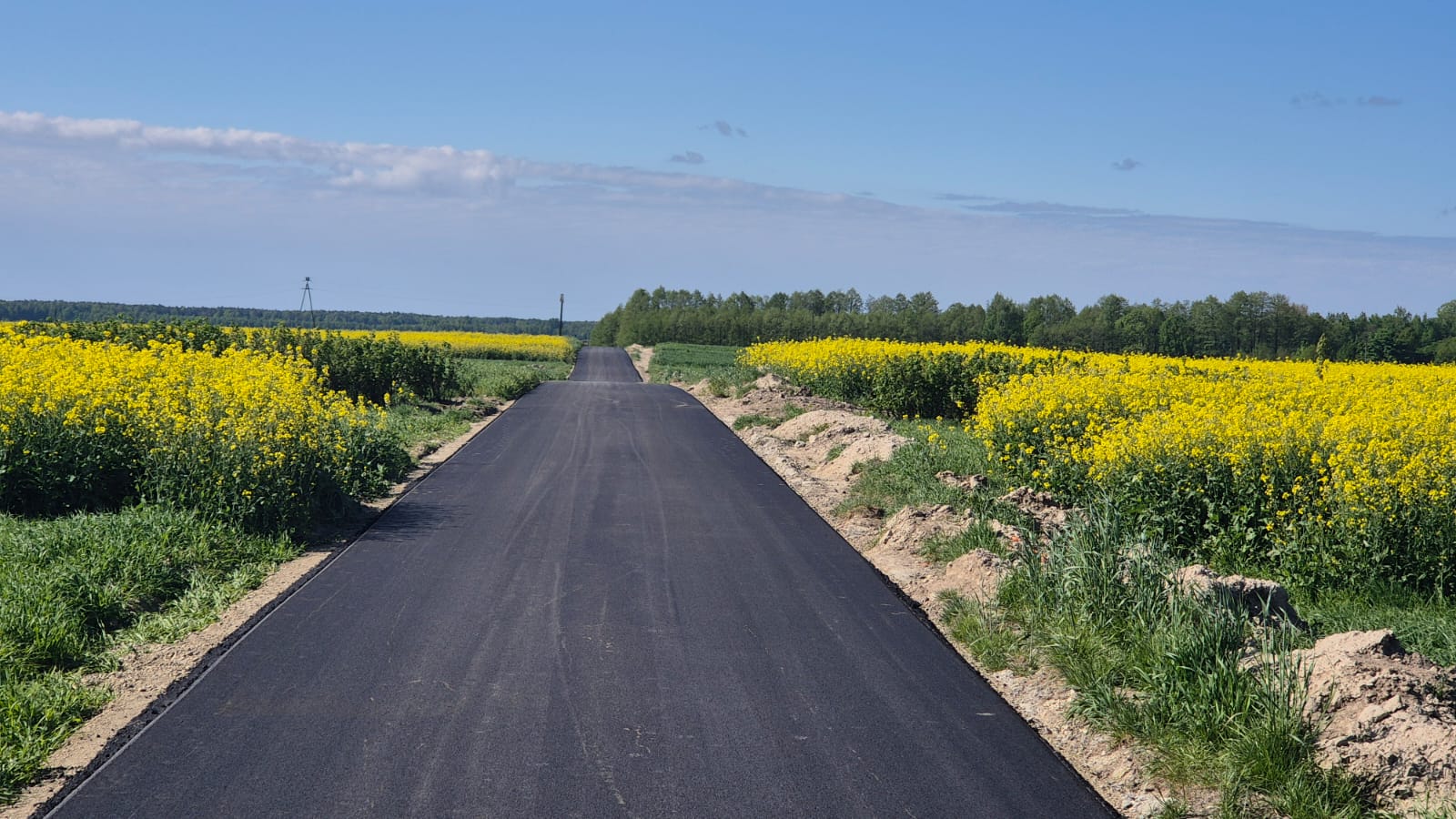 Asfaltowa droga przecinająca pola z żółtymi kwiatami i zieloną trawą, na tle lasu i niebieskiego nieba z nielicznymi chmurami.