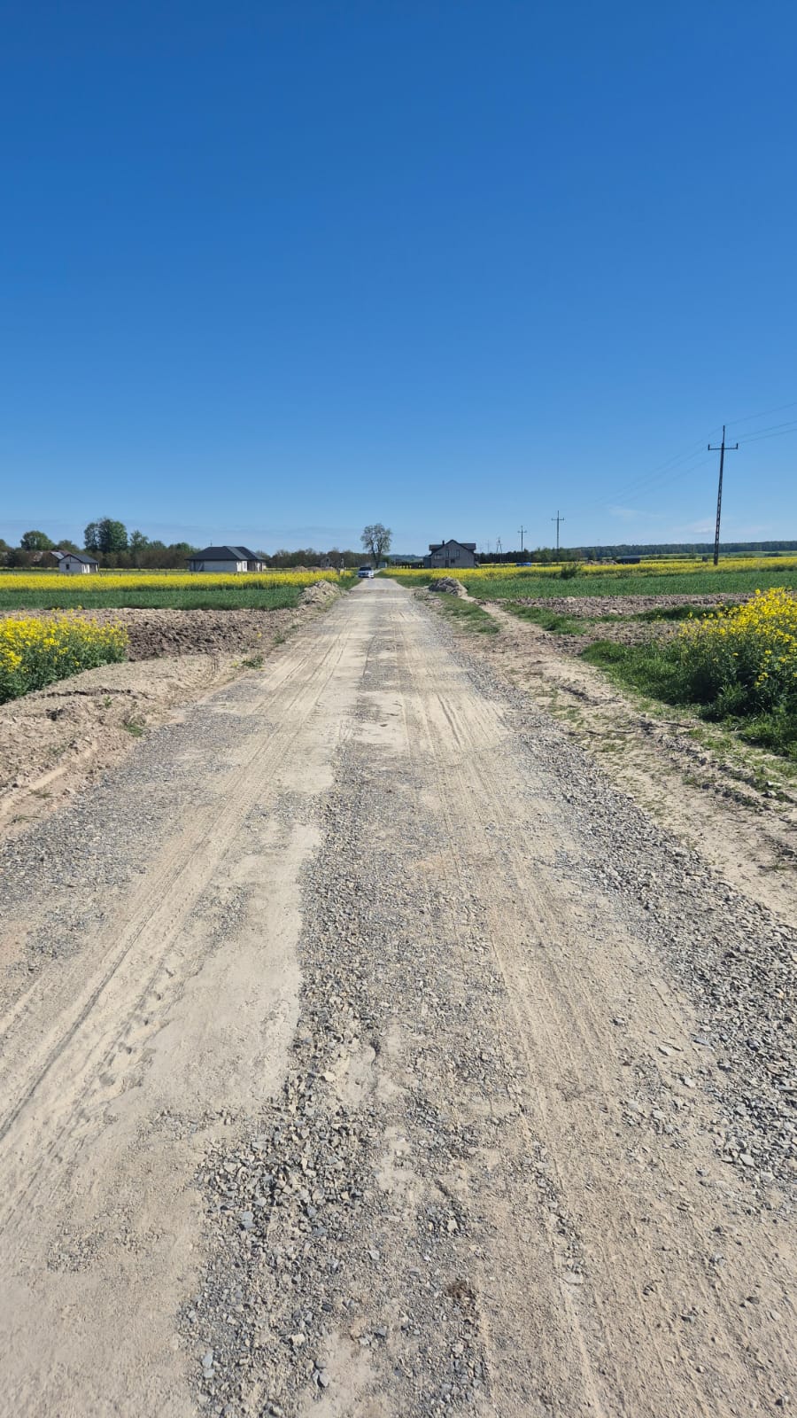 Droga szutrowa wśród pól z żółtymi kwiatami pod jasnym, bezchmurnym niebem, na horyzoncie domy i słupy energetyczne.