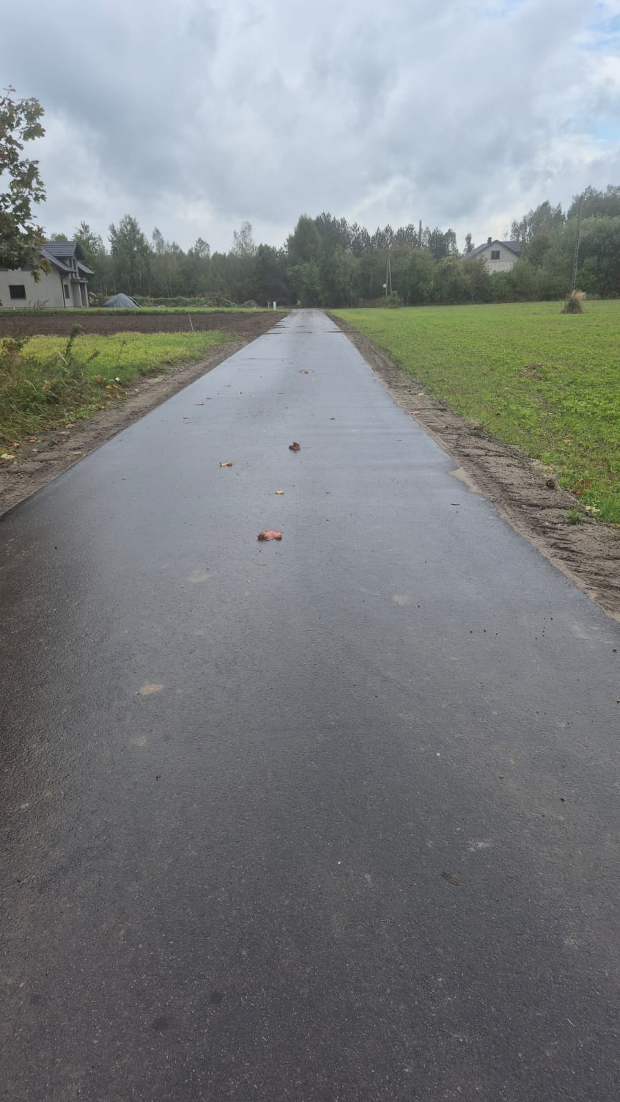 Wąska asfaltowa droga z mokrą nawierzchnią, po bokach zielone pola i drzewa, na niebie szare, pochmurne chmury.