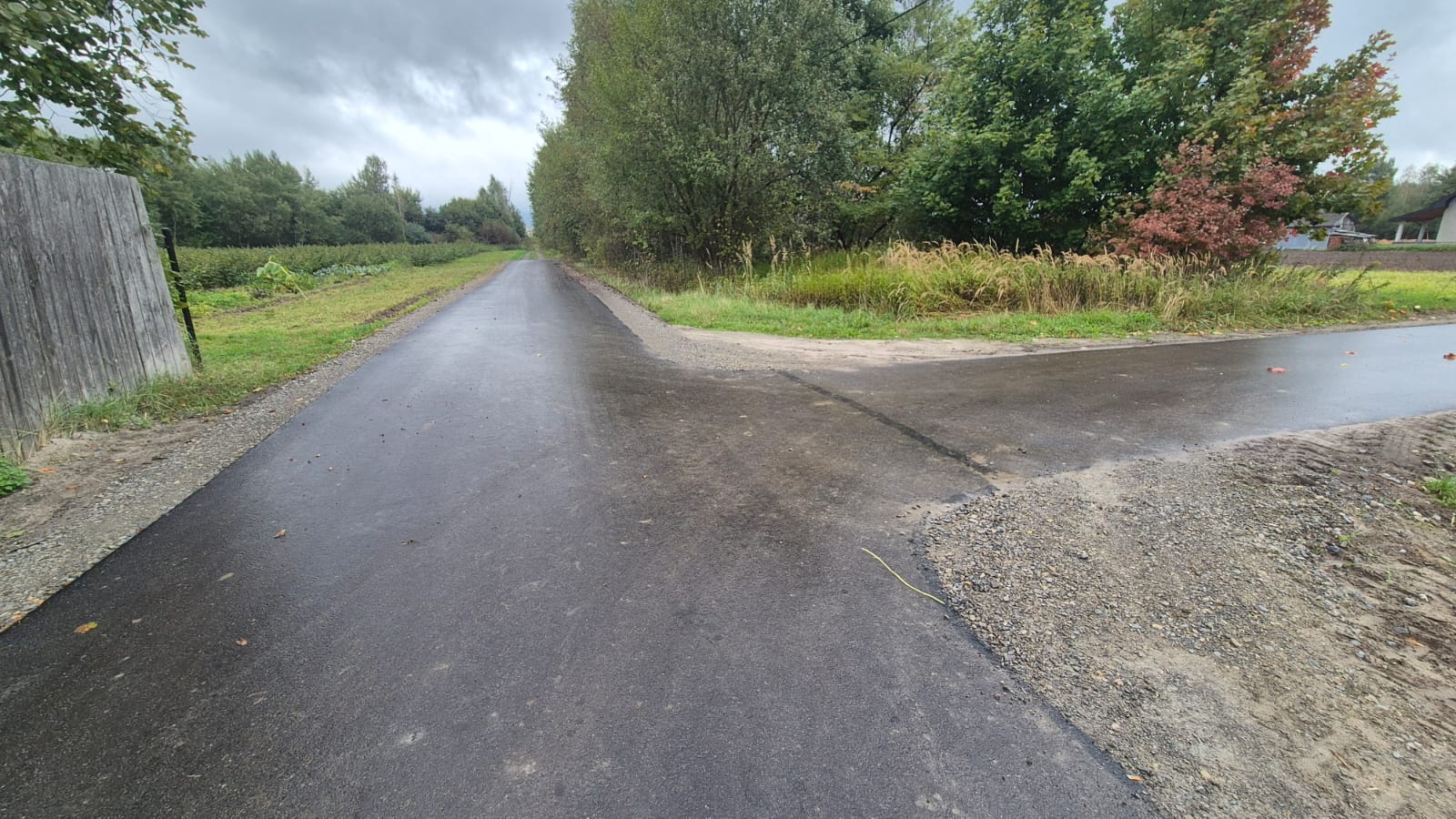 Rozmokła, świeżo położona asfaltowa droga rozgałęziająca się na dwie części, otoczona trawą, krzewami i drzewami o zielonych i czerwonych liściach pod pochmurnym niebem.