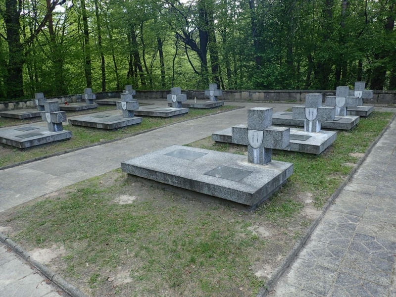 Nagrobki z jasnoszarego kamienia z krzyżami i tarczami, ustawione na trawiastym terenie w otoczeniu zielonych drzew.