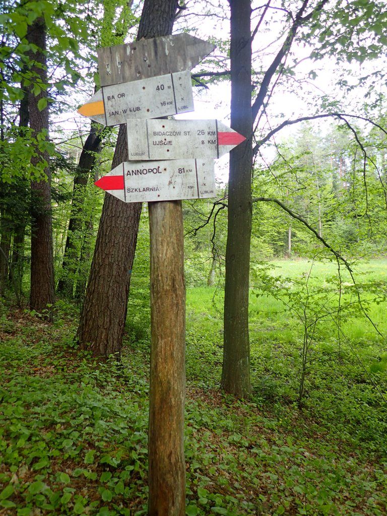 Drewniany słup z trzema białymi tabliczkami z czarnym napisem i czerwonymi oraz pomarańczowym oznaczeniem strzałek, na tle zielonego lasu z drzewami i roślinnością.