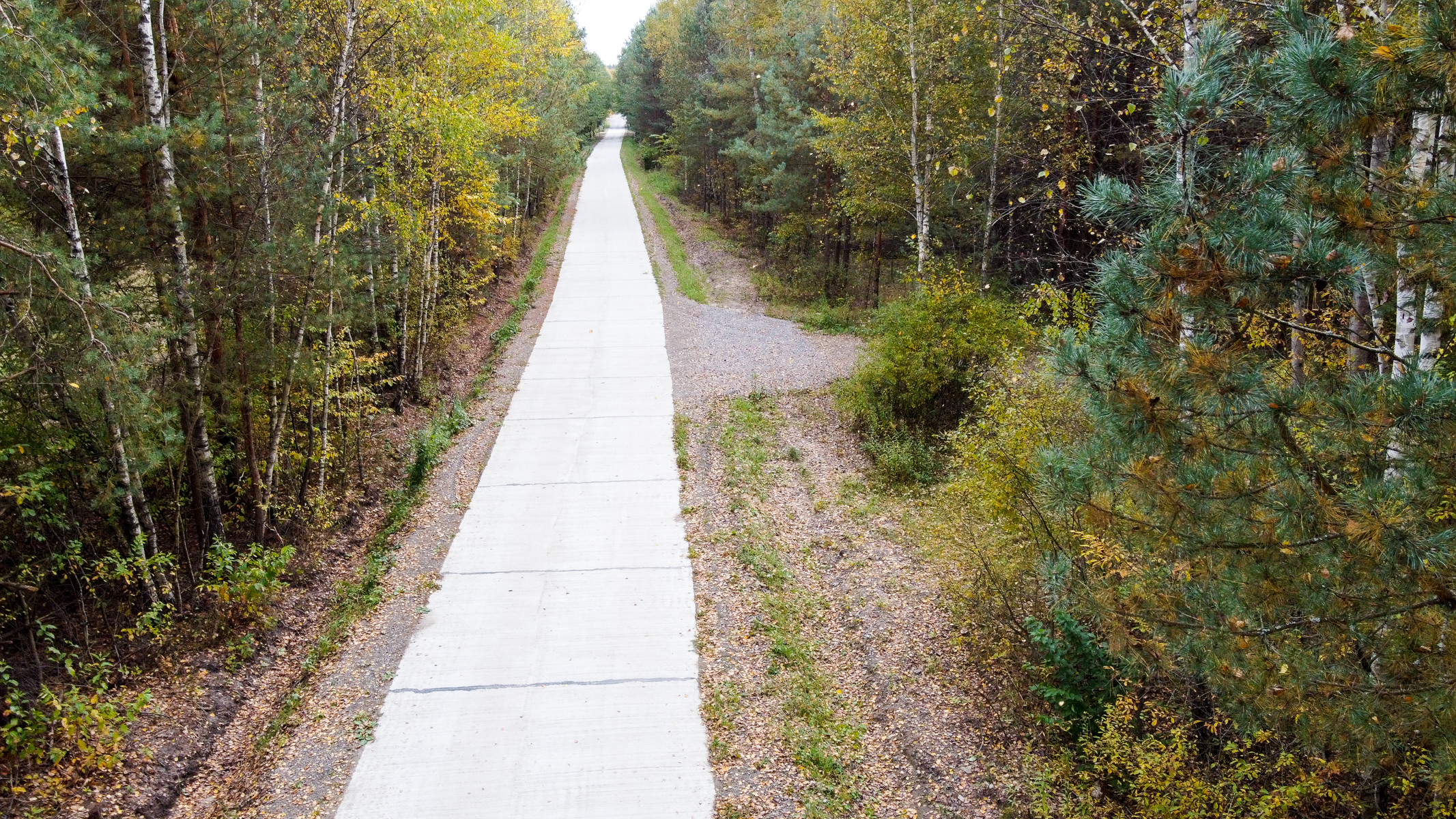 Wąska szara droga betonowa w lesie z zielonymi i żółtymi drzewami, obok rozszerzenie z kamieni i ziemi z nielicznymi roślinami.