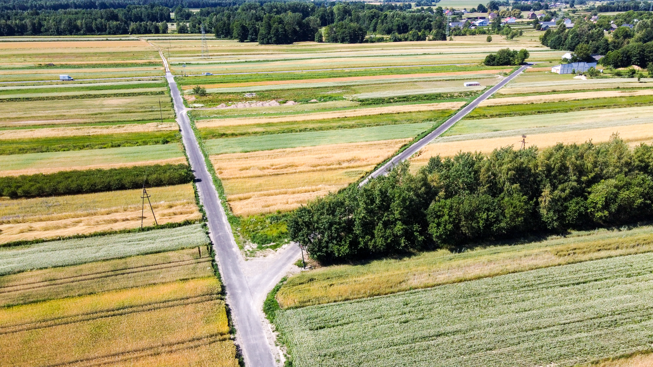 Pola uprawne o różnych odcieniach zieleni i żółci, asfaltowe drogi przecinające pola, skupisko zielonych drzew, w oddali zabudowania i las.