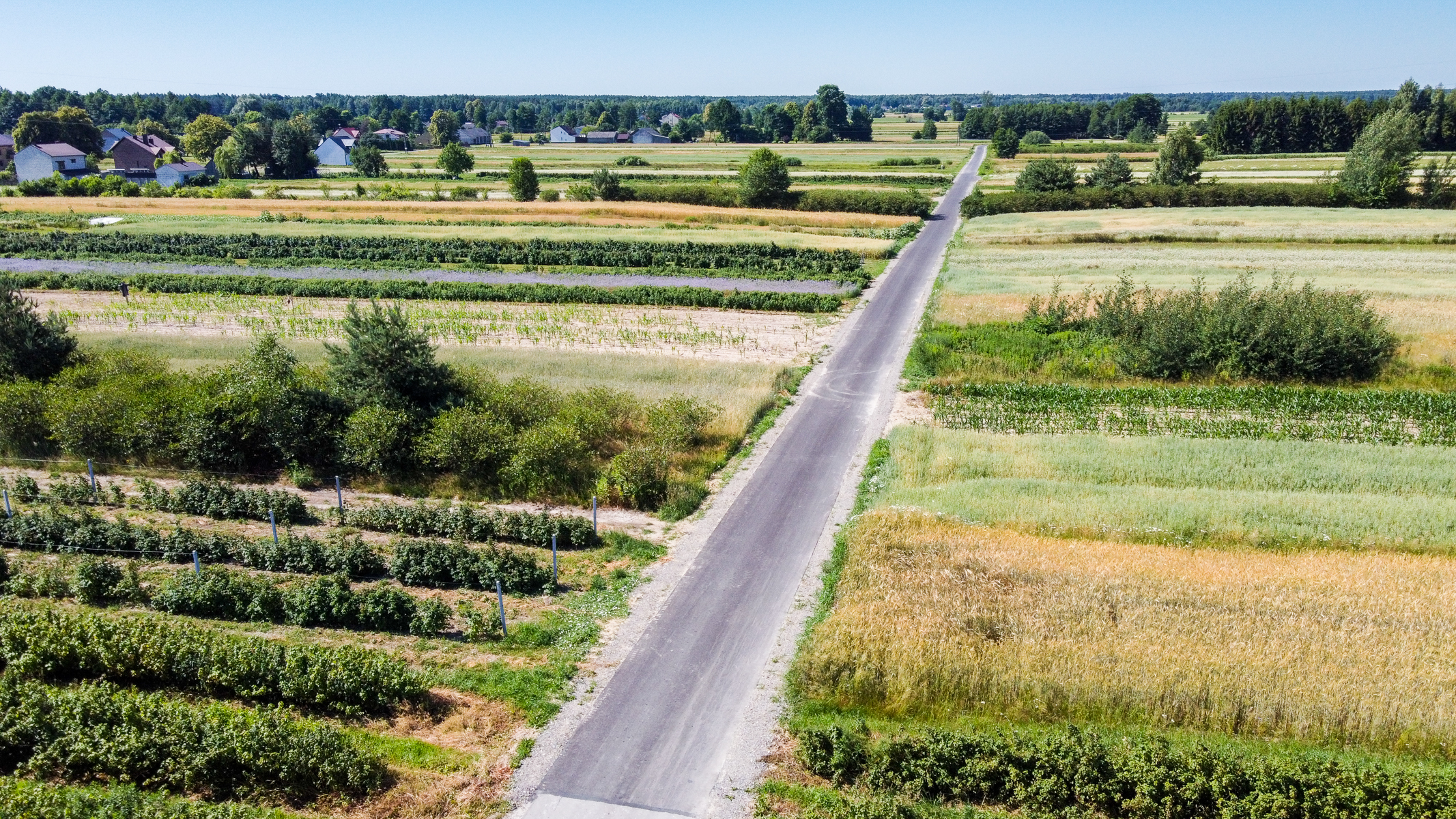 Asfaltowa droga przecinająca pola uprawne o różnych odcieniach zieleni i żółci, w tle rozproszone zabudowania i las.