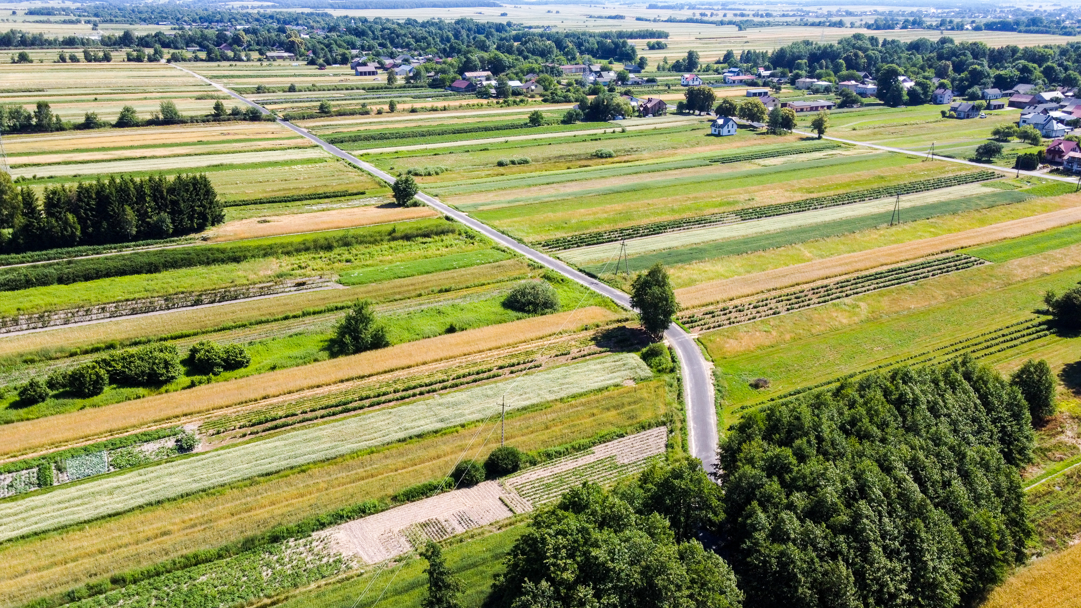 Widok z lotu ptaka na pola uprawne o różnych odcieniach zieleni i żółci, drogi oraz zadrzewienia, w tle rozproszone domy i zabudowania.