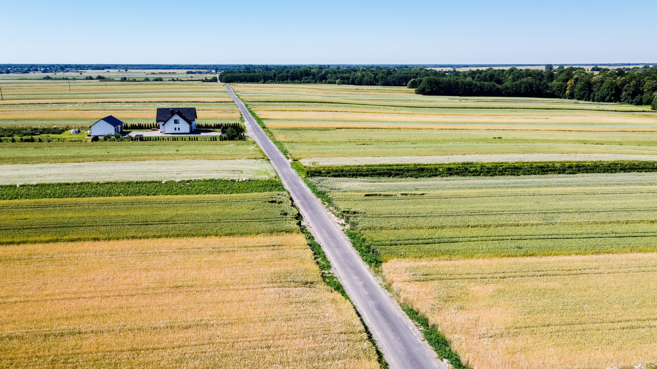 Długi asfaltowy prosty trakt przez pola o różnych odcieniach zieleni i żółci, po lewej dwie białe budynki z czarnym dachem, w tle pas lasu i błękitne niebo.
