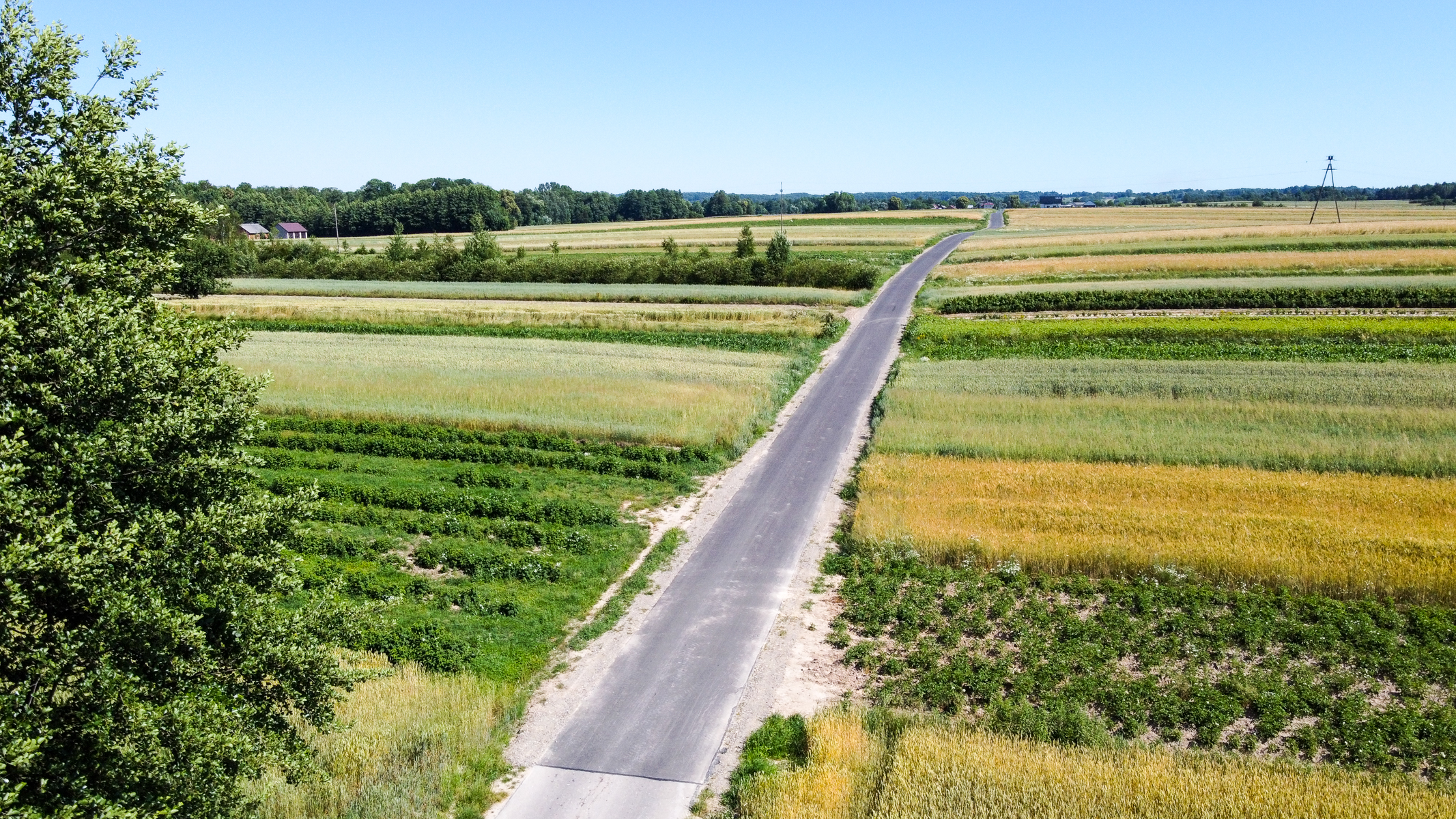 Asfaltowa droga biegnąca przez pola uprawne o różnych odcieniach zieleni i żółci, po lewej stronie drzewa, w tle las i zabudowania pod błękitnym niebem.